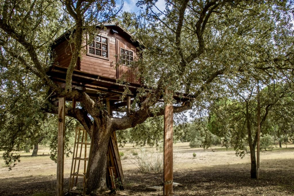 Glampsites in Wales with Quirky Accommodation - Blog